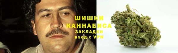 твердый Гусь-Хрустальный