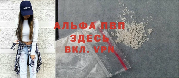 прущие грибы Гусиноозёрск