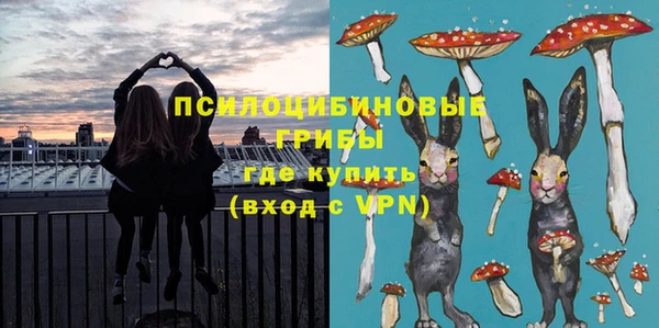 героин Алексин