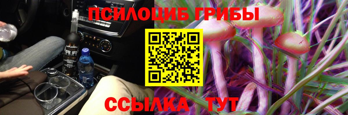 Псилоцибиновые грибы Cubensis  Вход с VPN  Чистополь 