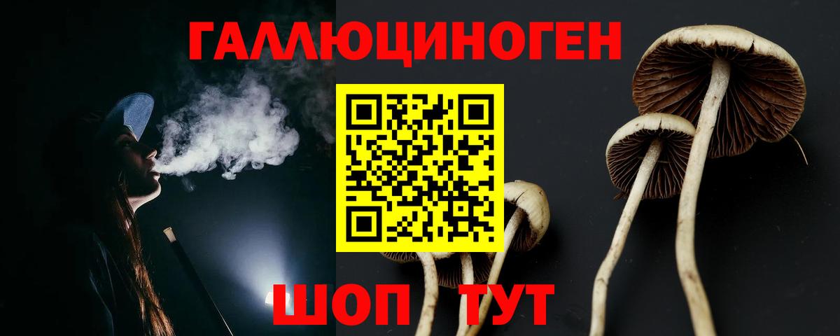 Псилоцибиновые грибы мухоморы Чистополь